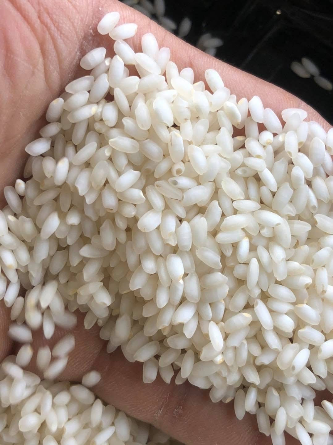 TT ရွှေဘို ပေါ်ဆန်းမွှေး (2Kg)