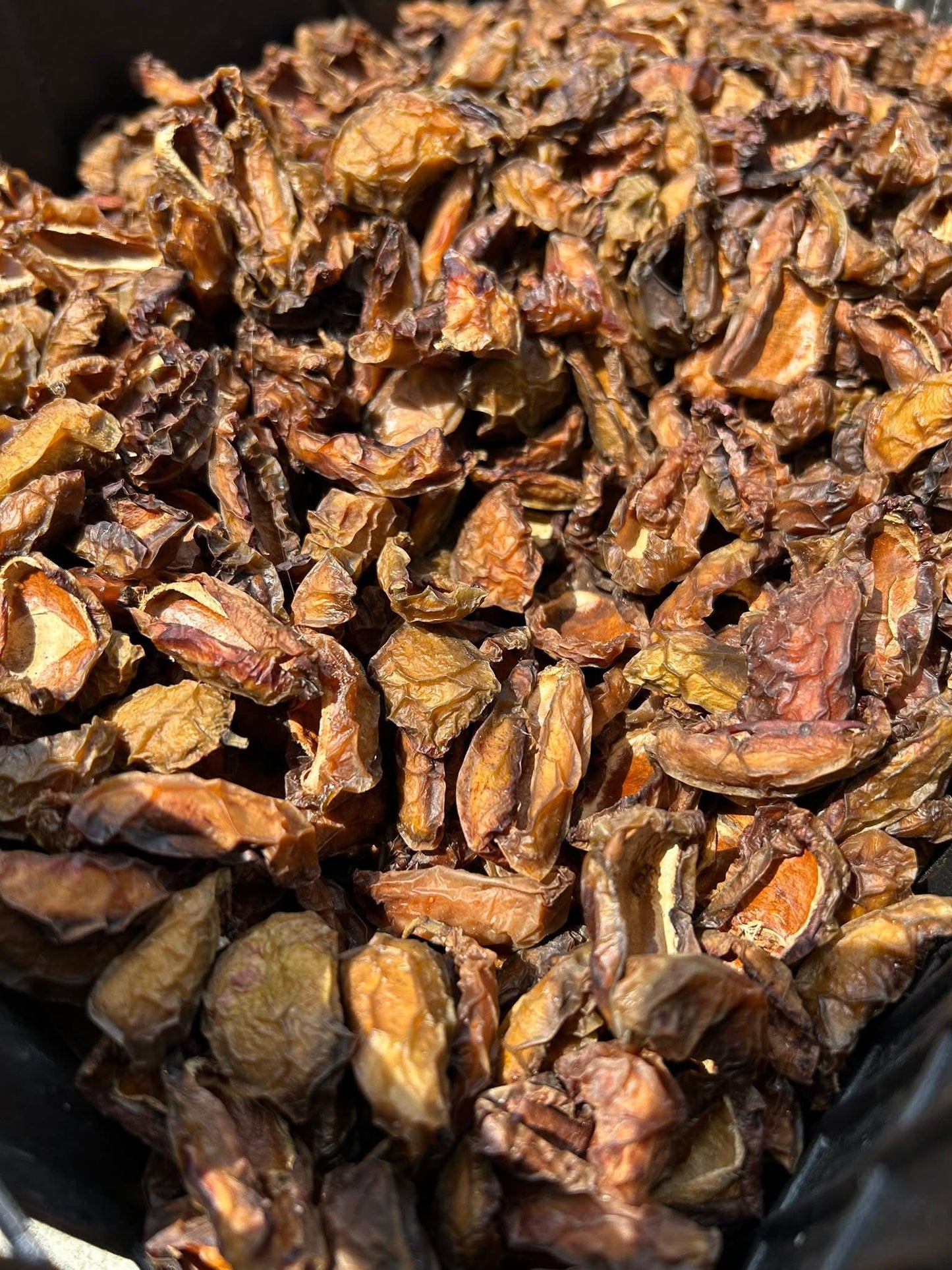 HH မရမ်းပြားခြောက် 100g