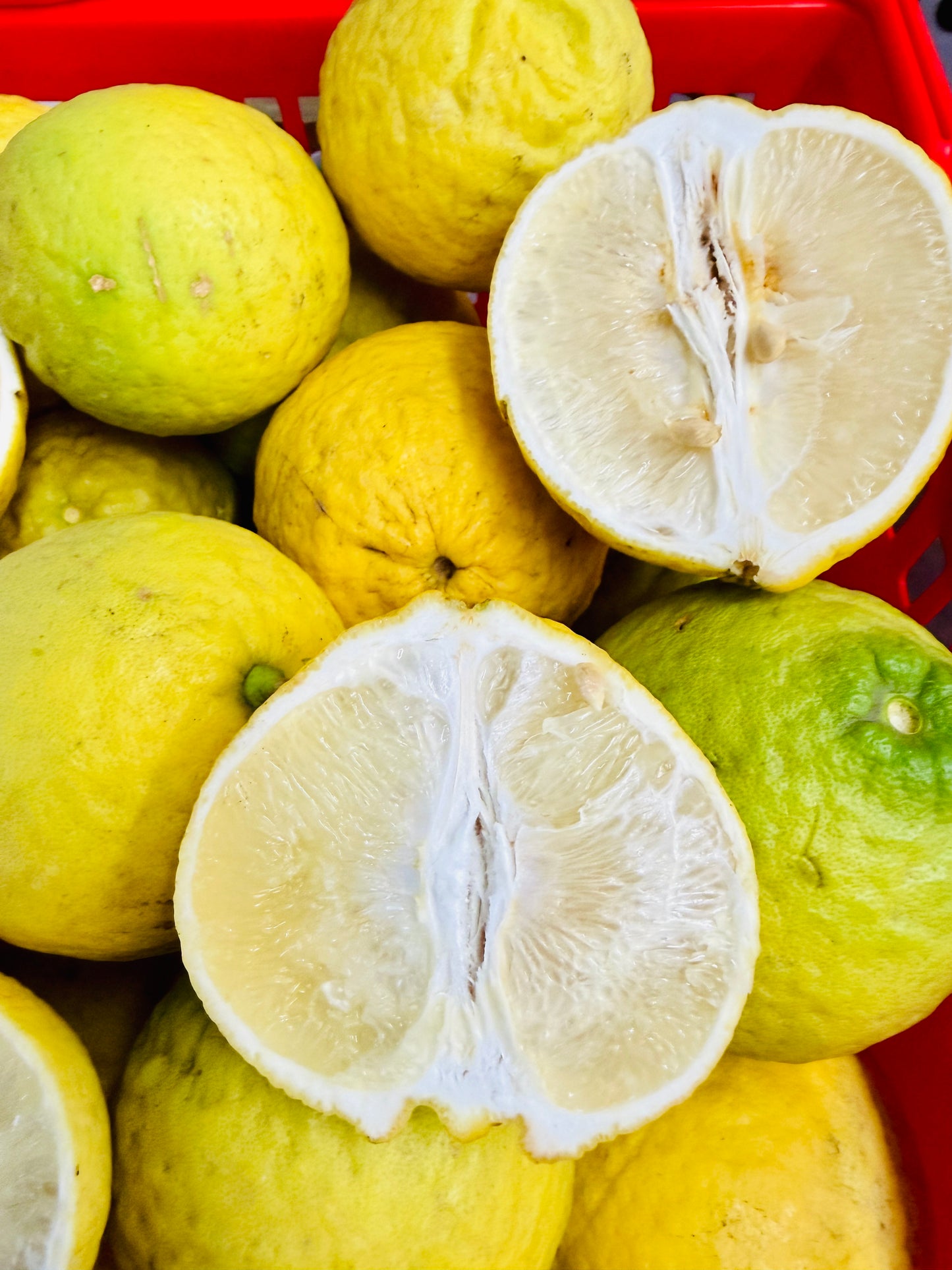 မြန်မာ ရှောက်သီး (Citrus)