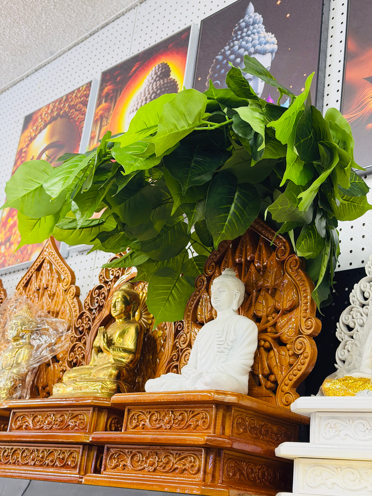ဗောဓိညောင်ပင် 15”