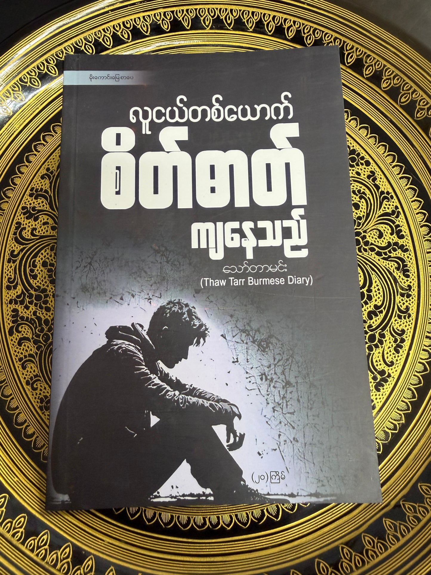 လူငယ်တစ်ယောက် စိတ်ဓာတ်ကျနေသည် - သော်တာမင်း (Thaw Tarr Burmese Diary)