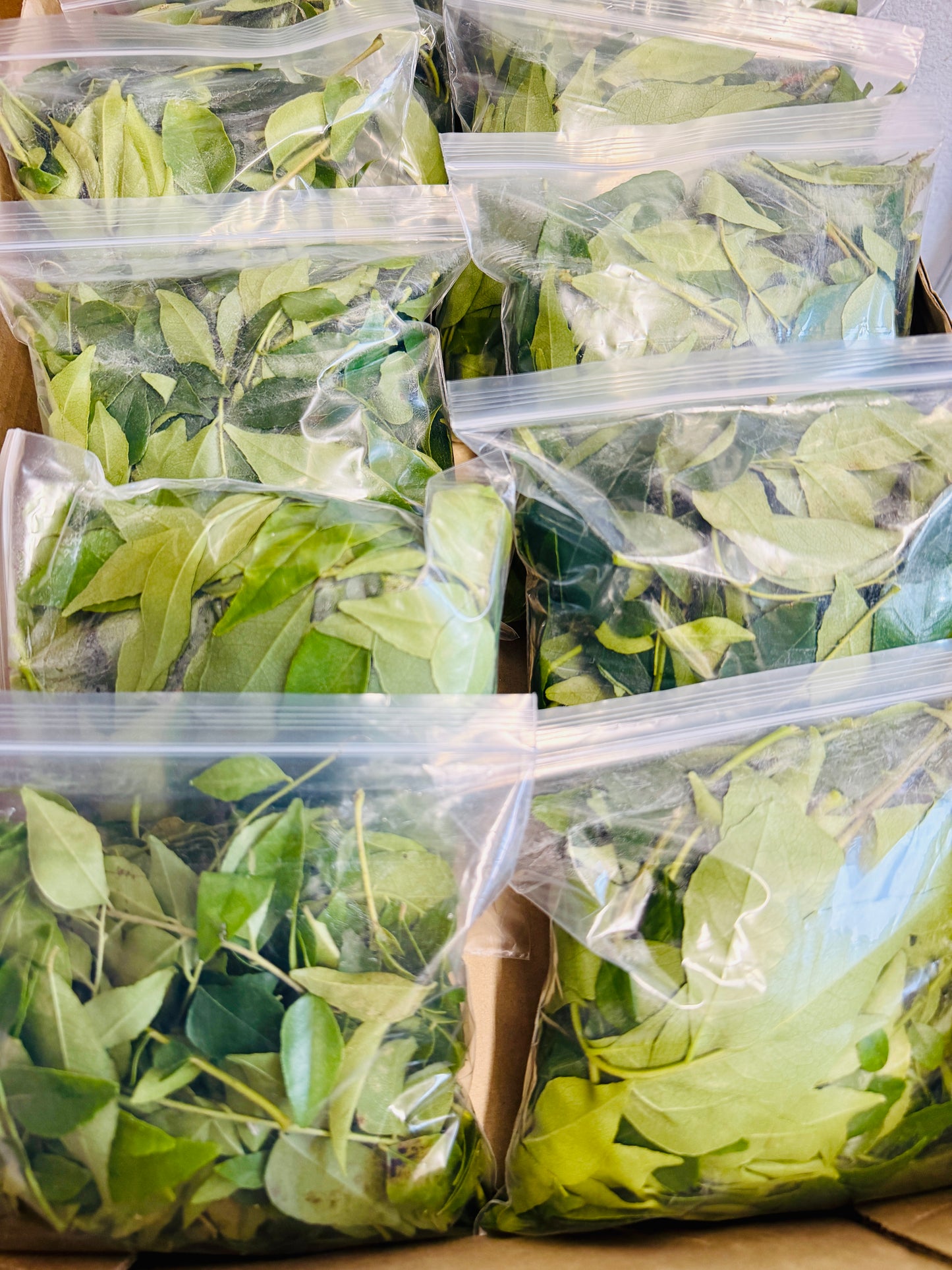 Curry Leaves ပျဉ်းတော်သိမ်ရွက် 50g
