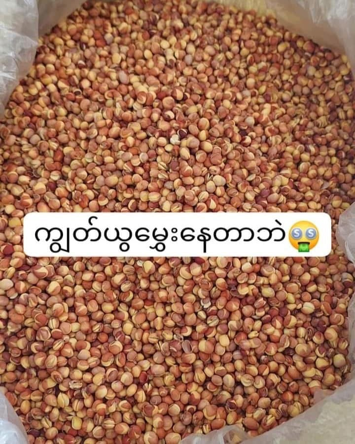 MMM မမမြ ပဲစဉ်းငုံလှော်