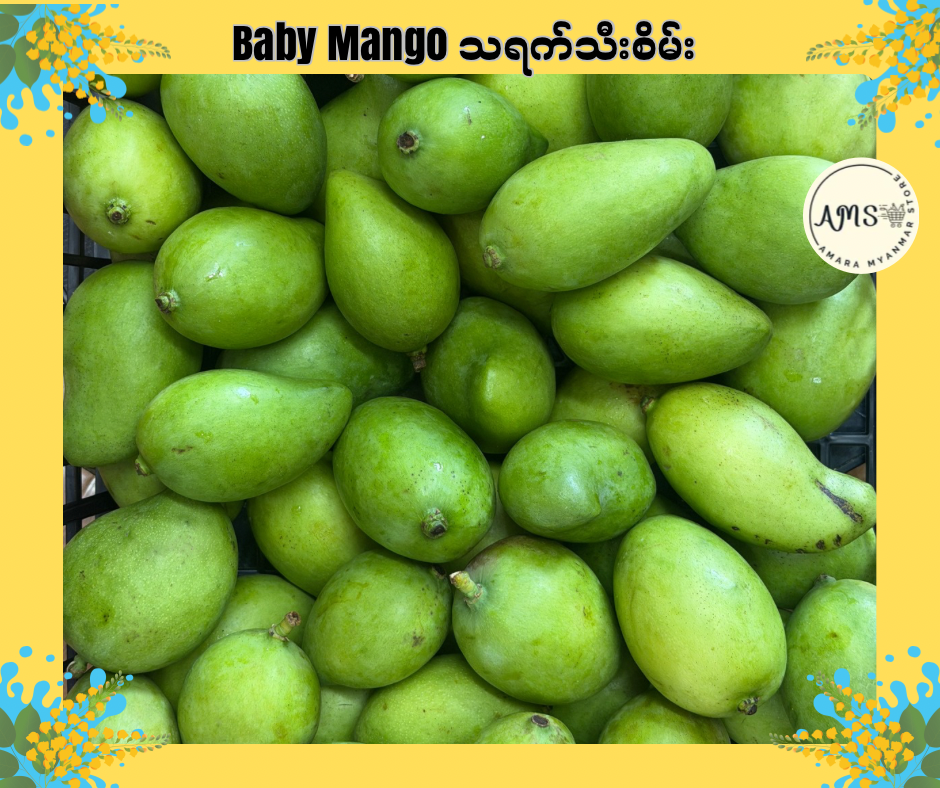 Baby Mango သရက်သီးစိမ်း 1LB