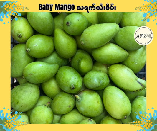 Baby Mango သရက်သီးစိမ်း 1LB