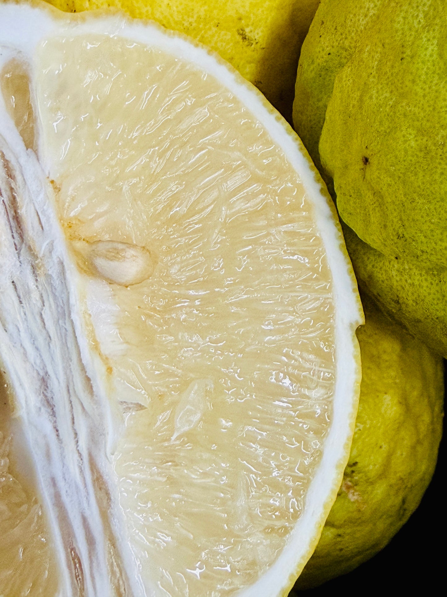 မြန်မာ ရှောက်သီး (Citrus)