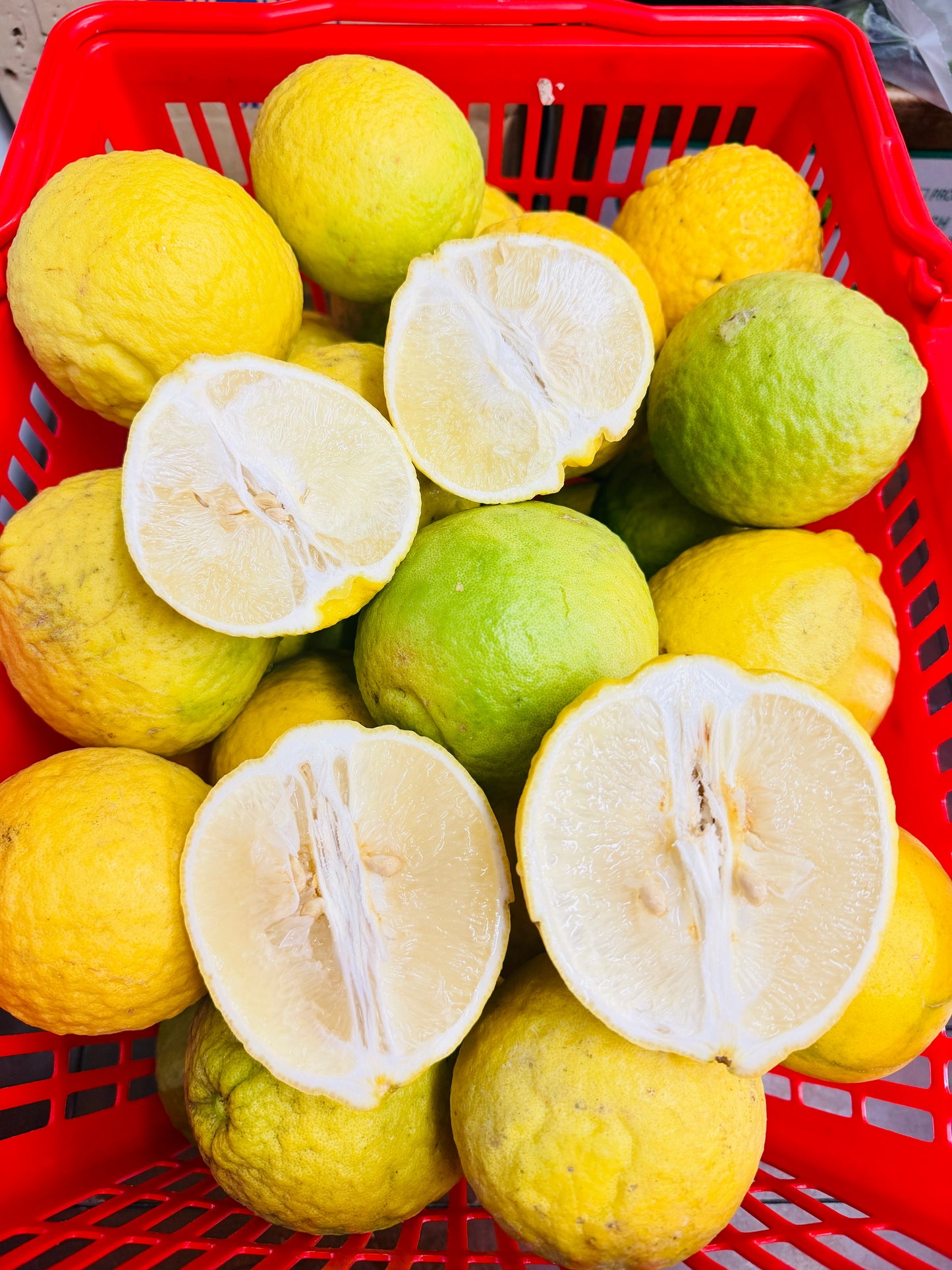 မြန်မာ ရှောက်သီး (Citrus)