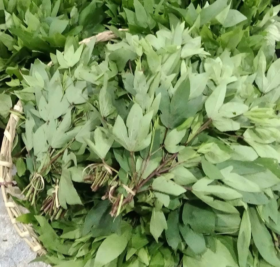 PMT ချဉ်ပေါင်ရွက်မွှေ 200g