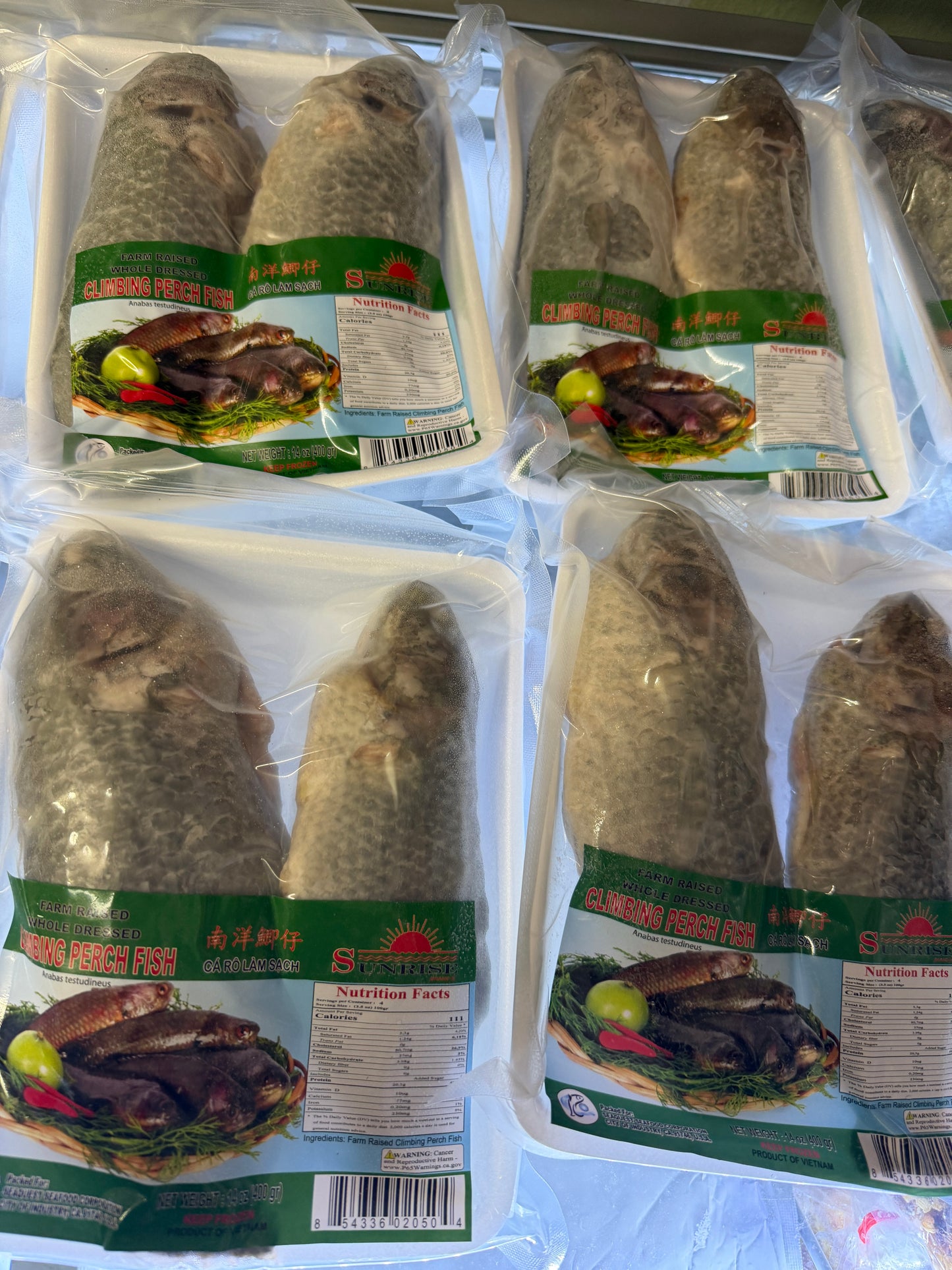 ငါးပြေမ 14oz/Pack (5 Packs)