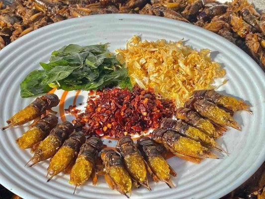 Made In Mandalay အထီး/အမ အရော ပုရစ်ကြော်