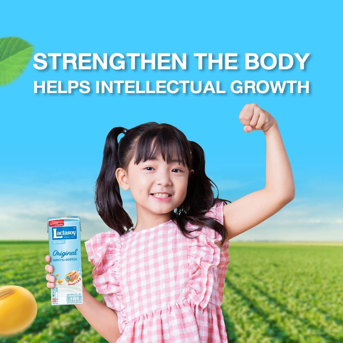 Lactasoy Soymilk 125ml (6 Packs)