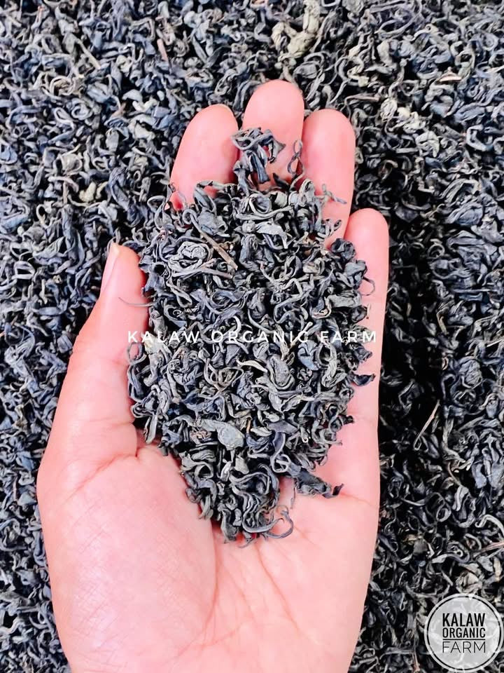 KOF Special Green Tea Grade A ( အညွန့်အသန့် အကျစ်ခြောက်ရှယ်) 160g