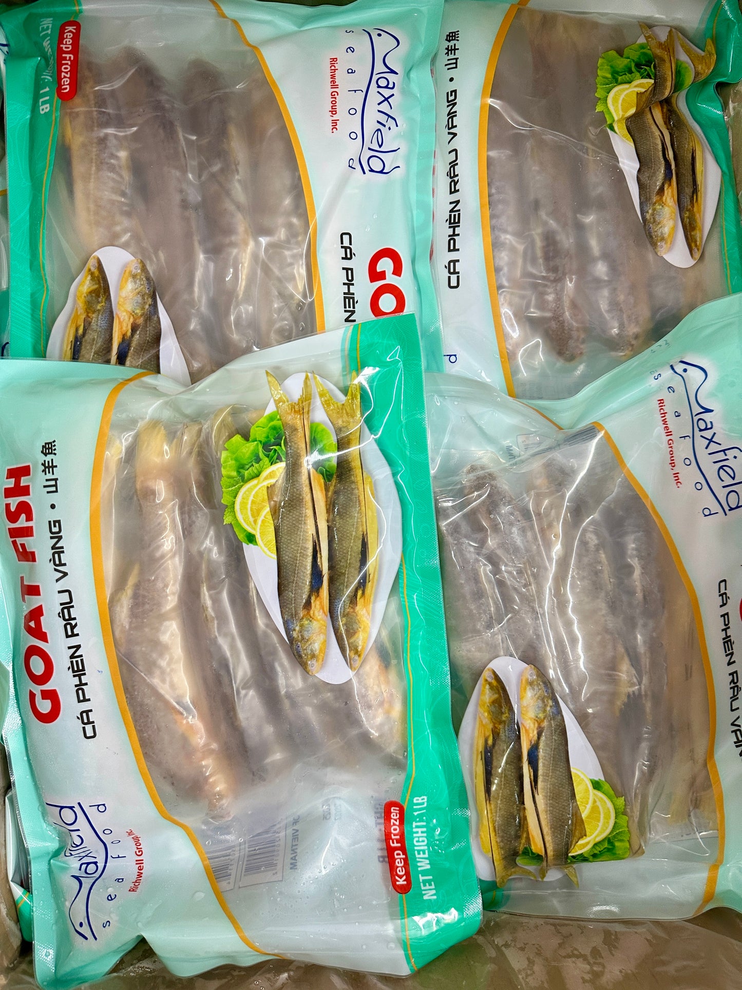 Goat Fish ငါးပုဏ္ဏား (1LB)