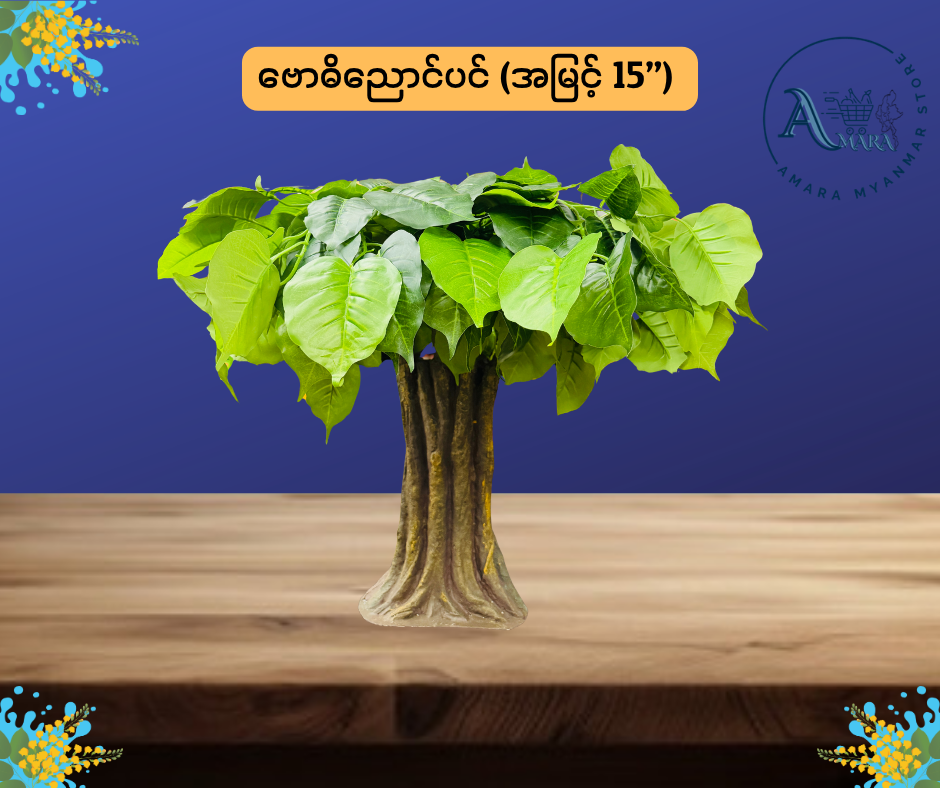 ဗောဓိညောင်ပင် 15”