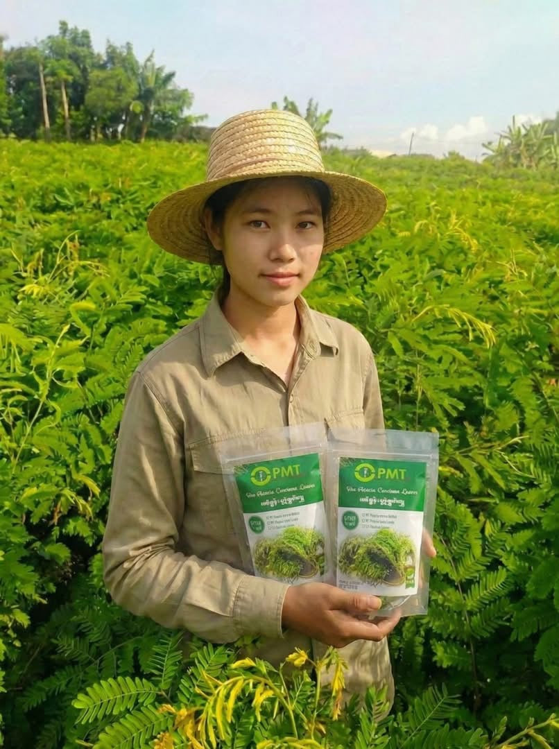 PMT ကင်းပွန်းချဉ်ရွက်မွှေ 200g