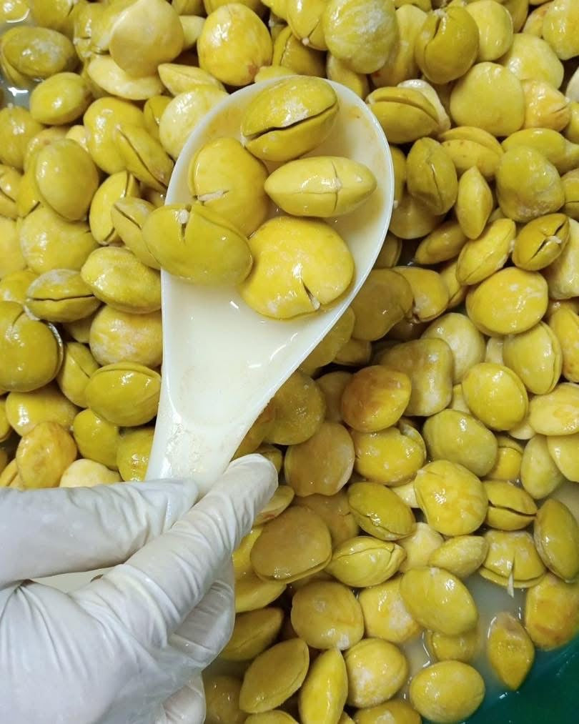 HH ဒညင်းသီးဆားရည်စိမ် 15 Pcs