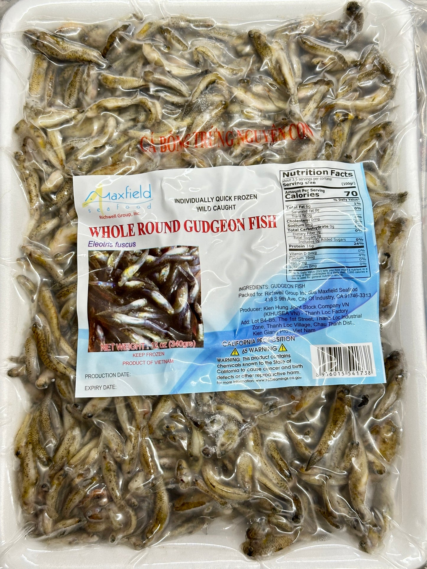 Gudgeon Fish ကပ်သပိုးငါး