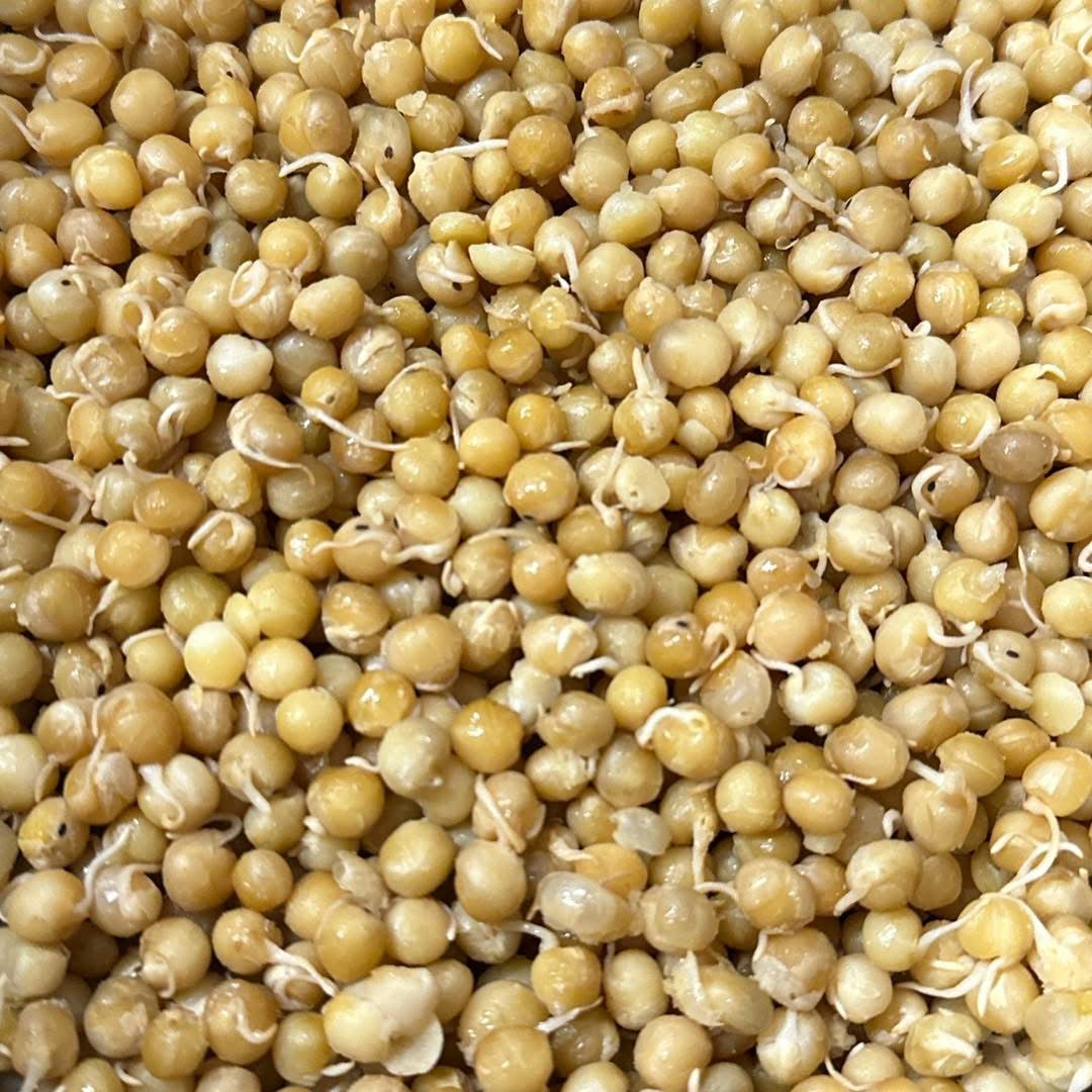 Amara မြန်မာ စားတော်ပဲ 900g (2LB)