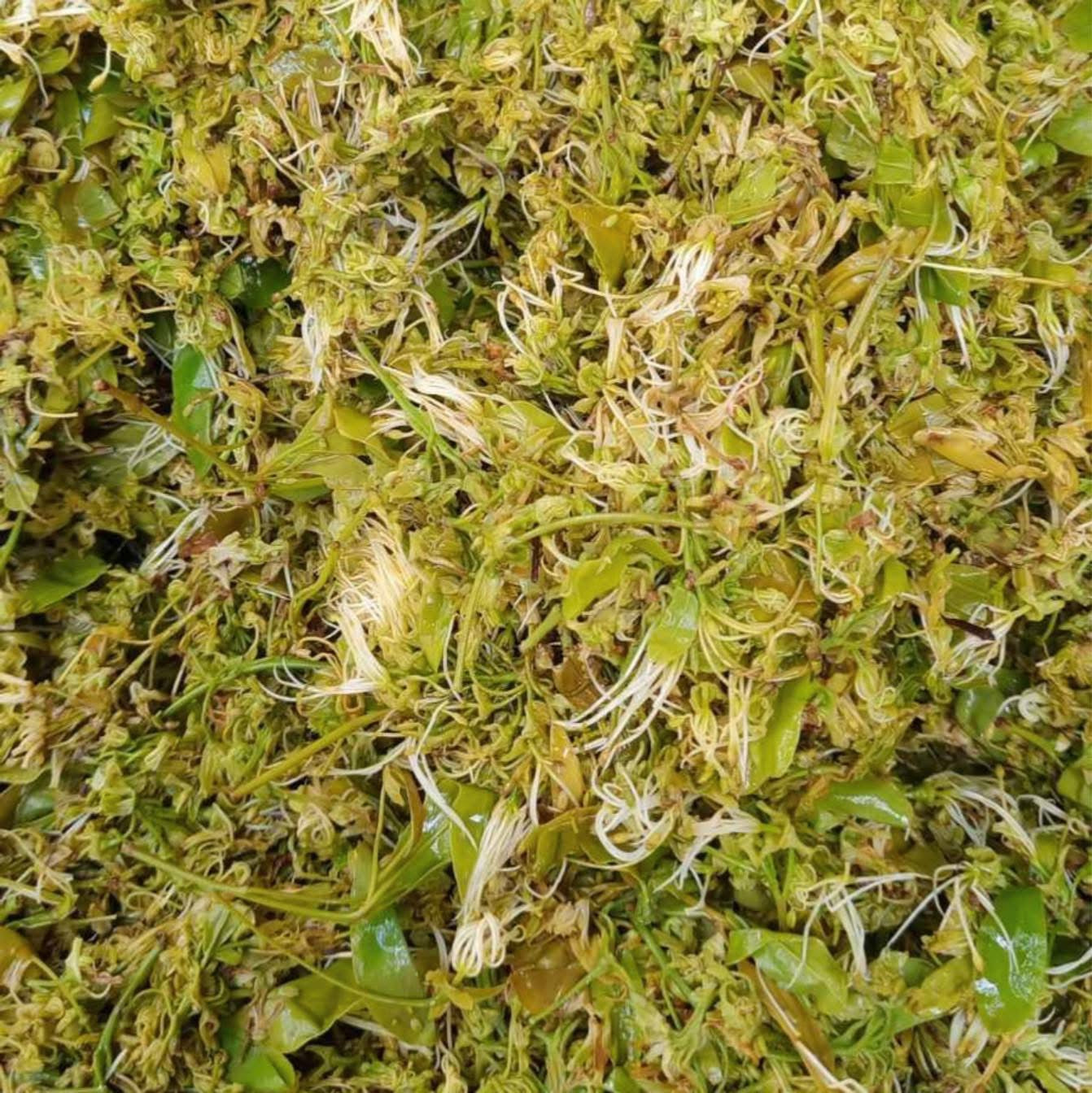 Amara သမုန်းဖူးခြောက် 100g