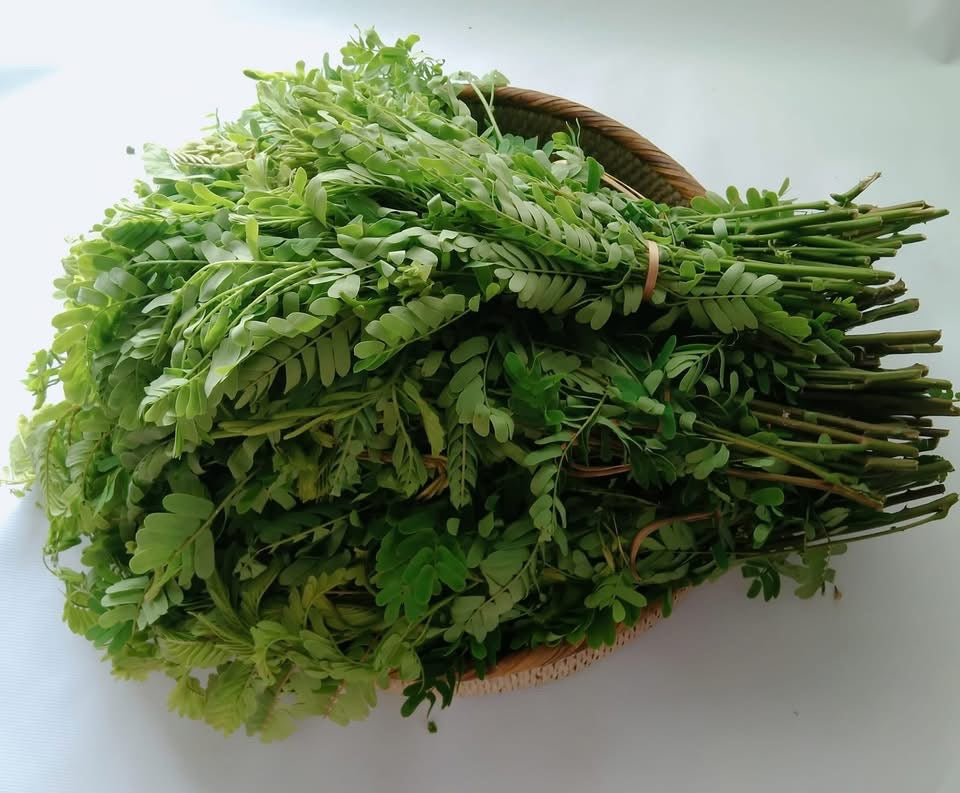 PMT ကင်းပွန်းချဉ်ရွက်မွှေ 200g