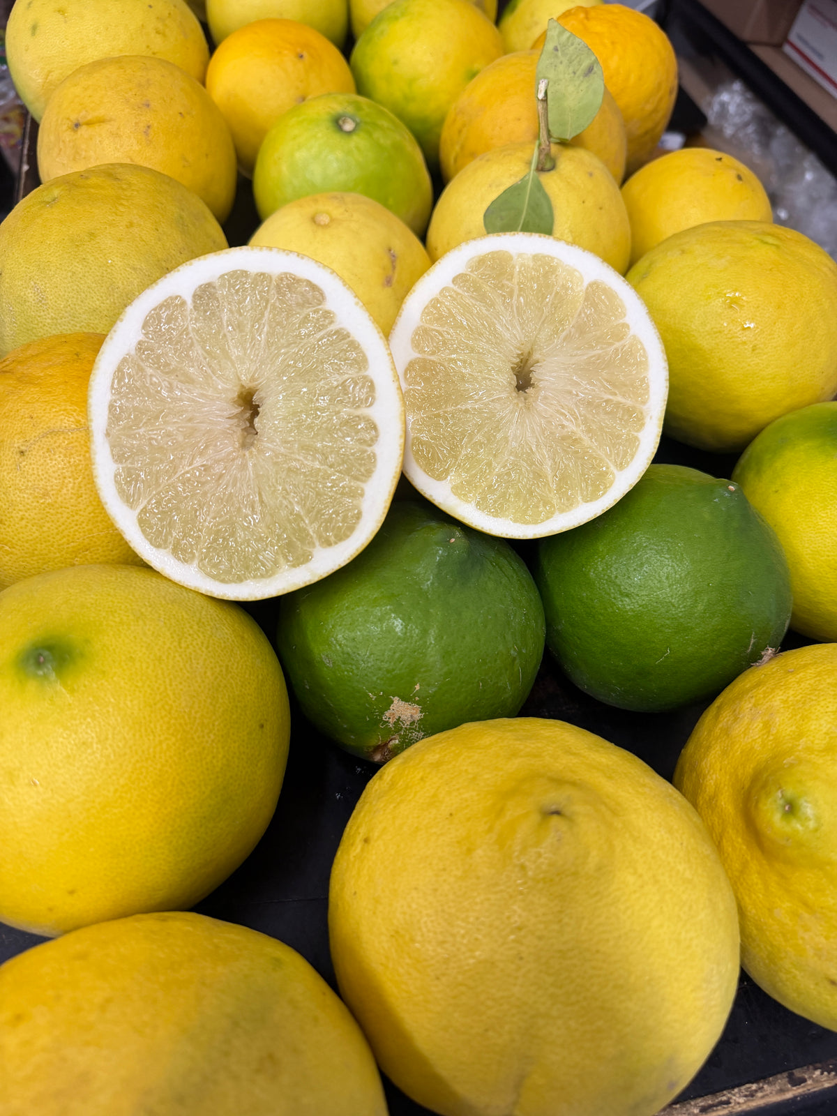 Amara မြန်မာ ရှောက်သီး (Citrus)