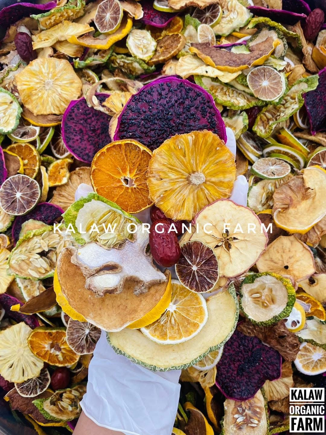 KOF Detox 10ရက်စာ အထုတ်