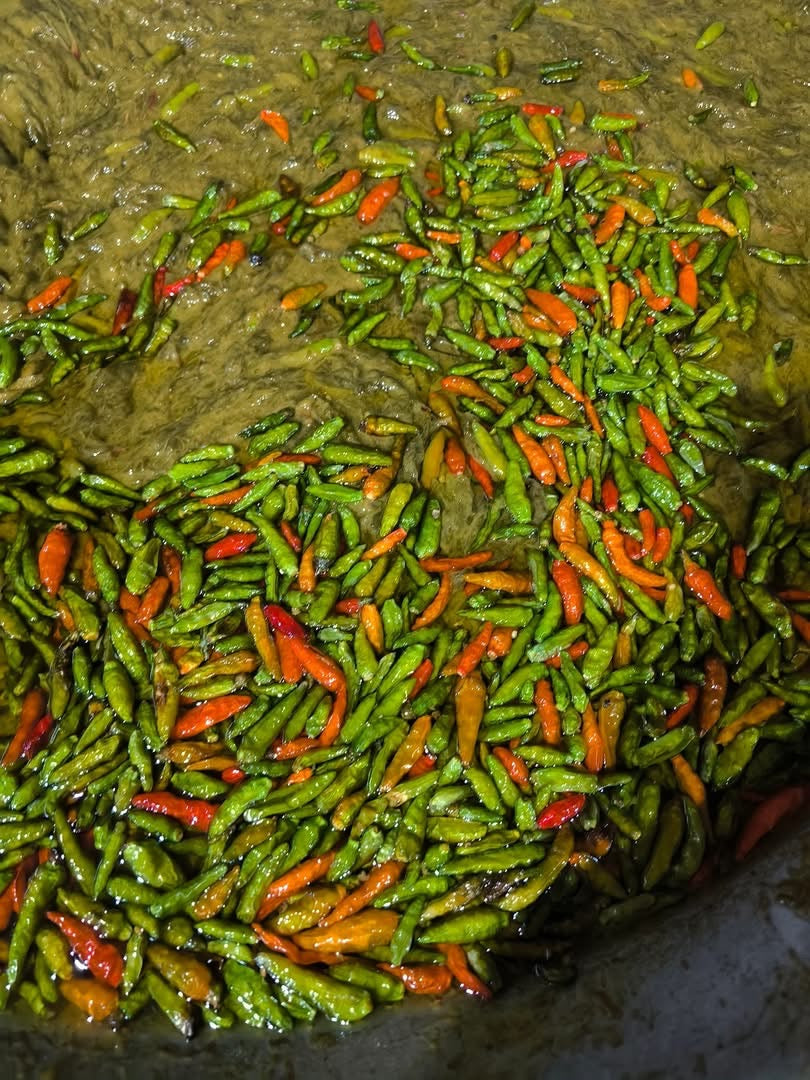 SB ဘိုဂီ ရှယ်ပဲ ငရုတ်ချဉ်ပေါင်ချက်