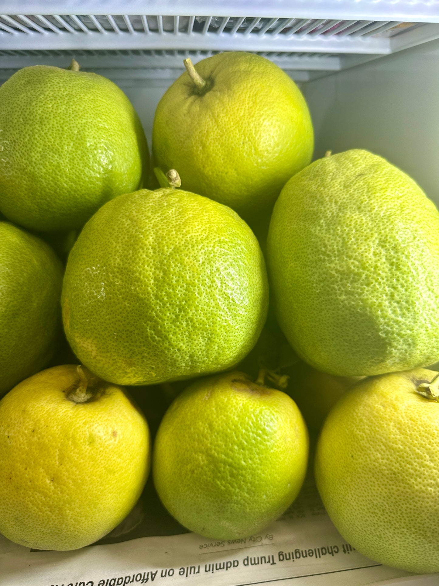 LA ရှောက်သီး (Citrus)