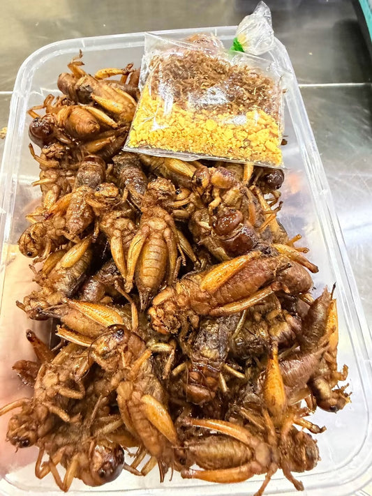 TM သက်မေ ပုရစ်ကြော် အကောင် ၁၀၀ (အထီးအမအရော ဥပါ)