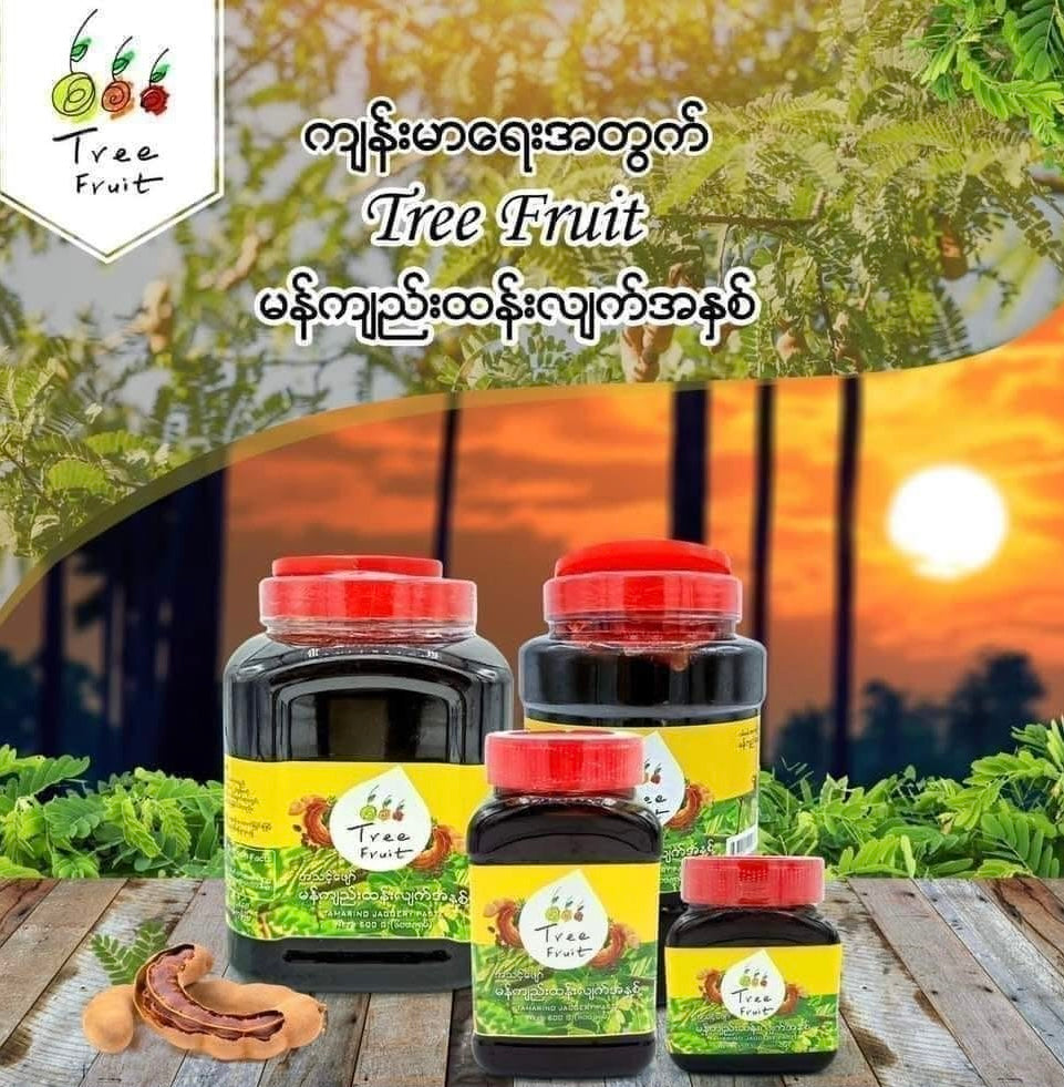 Tree Food မန်းကျည်းထန်းလျှက်အနှစ်