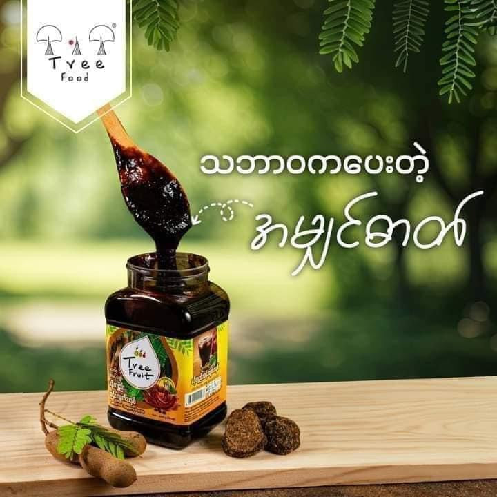 Tree Food မန်းကျည်းထန်းလျှက်အနှစ်