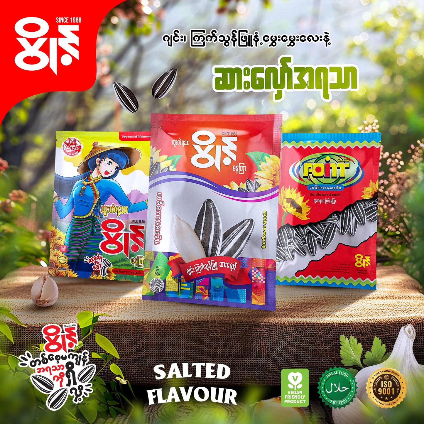 Point ပွိုင့်နေကြာစေ့(ဂျင်း/ကြက်သွန်ဖြူ)