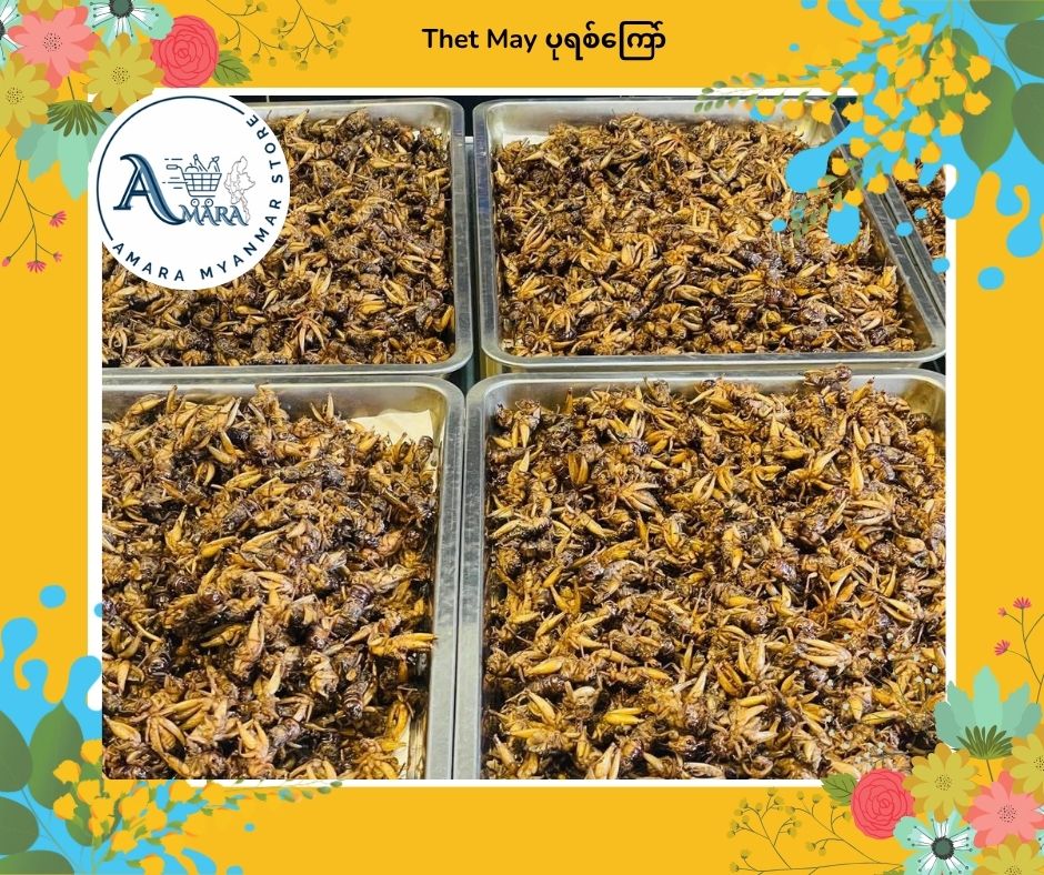 TM သက်မေ ပုရစ်ကြော် မိုးပုရစ် 100Pcs
