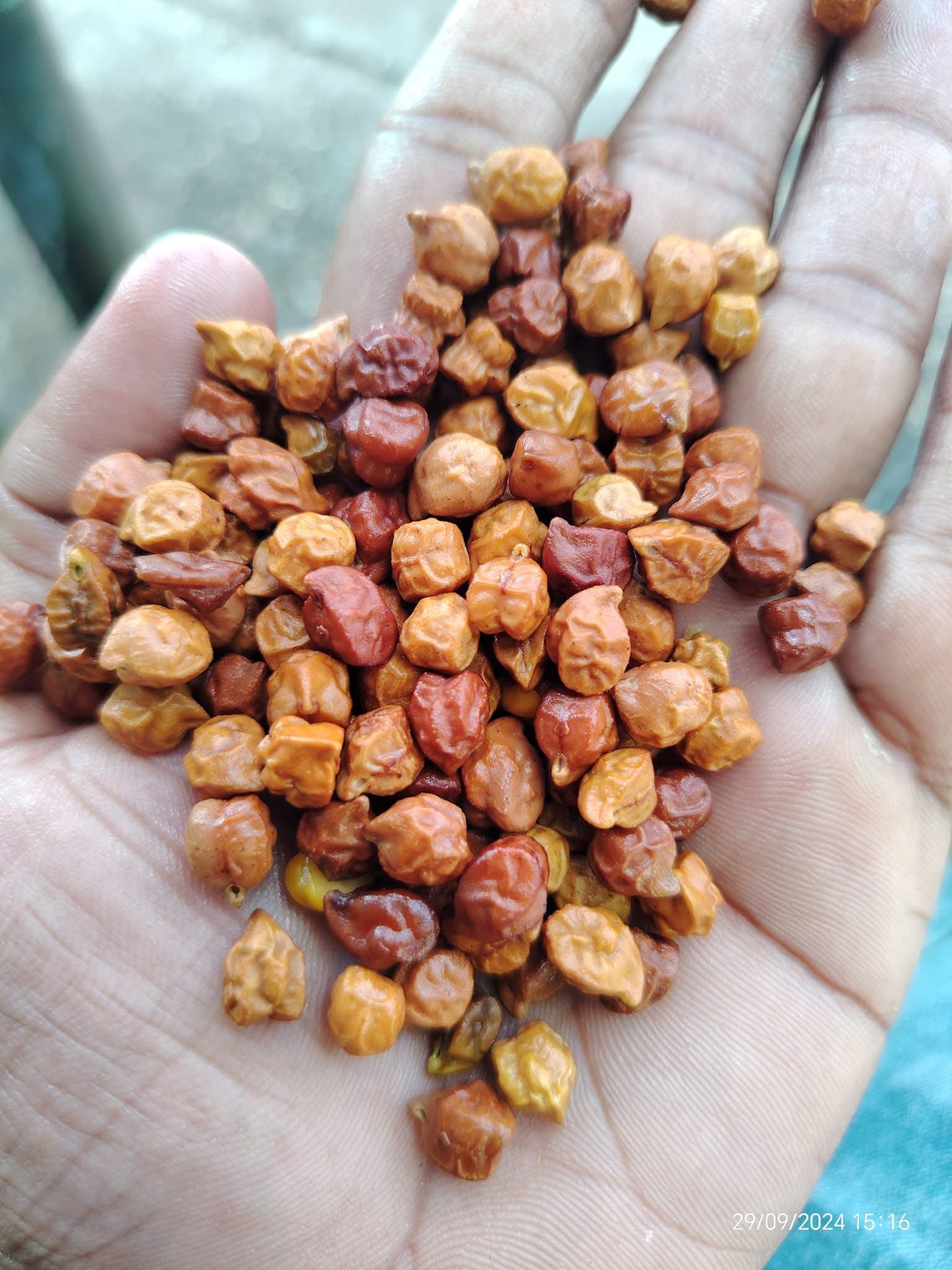 TTL သန့်သန့်လေး ဆင်ခေါင်ပဲကြော် 80g