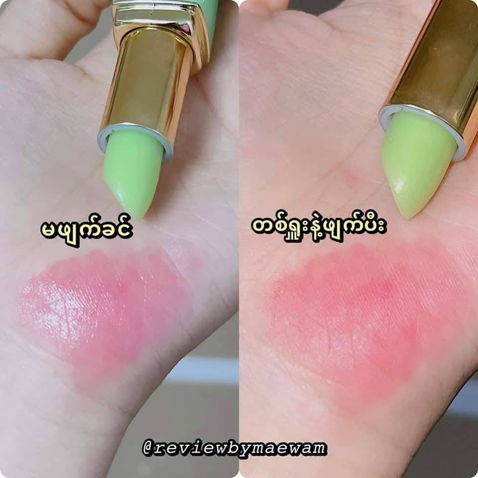 Healthy Shop Lipstick