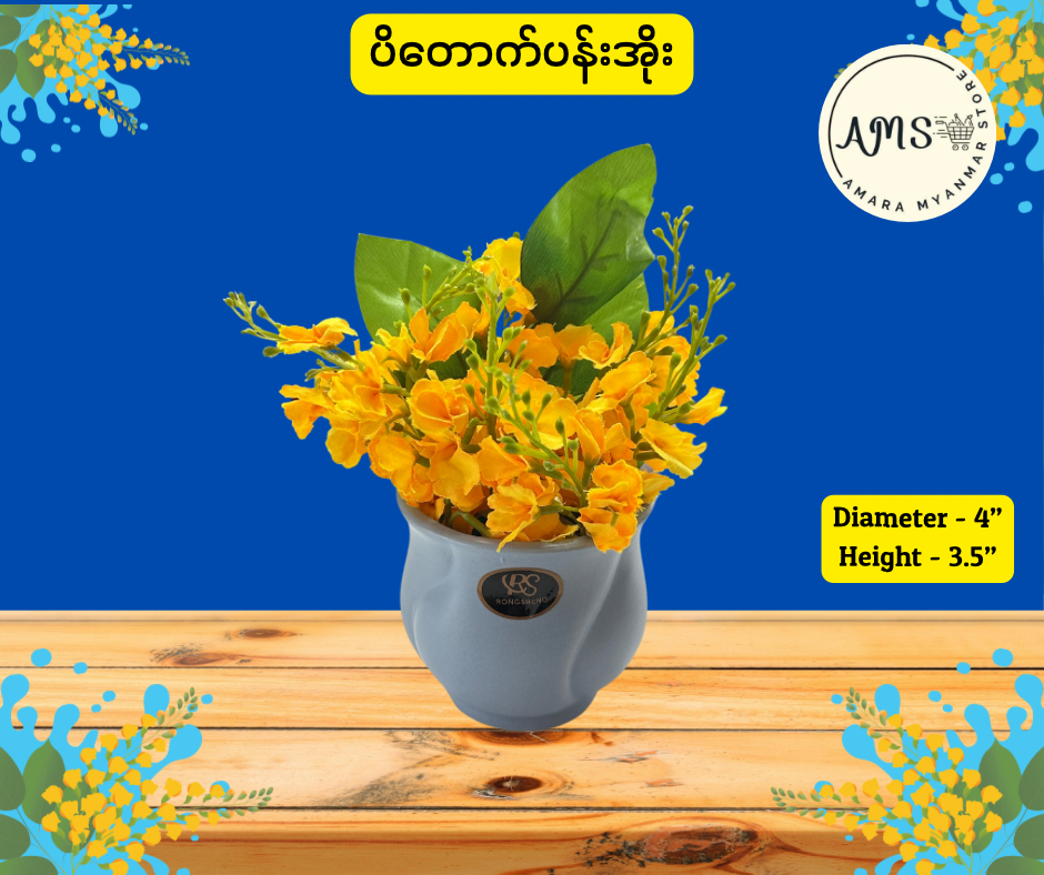 Thingyan သင်္ကြန် ပိတောက်ပန်းအိုး
