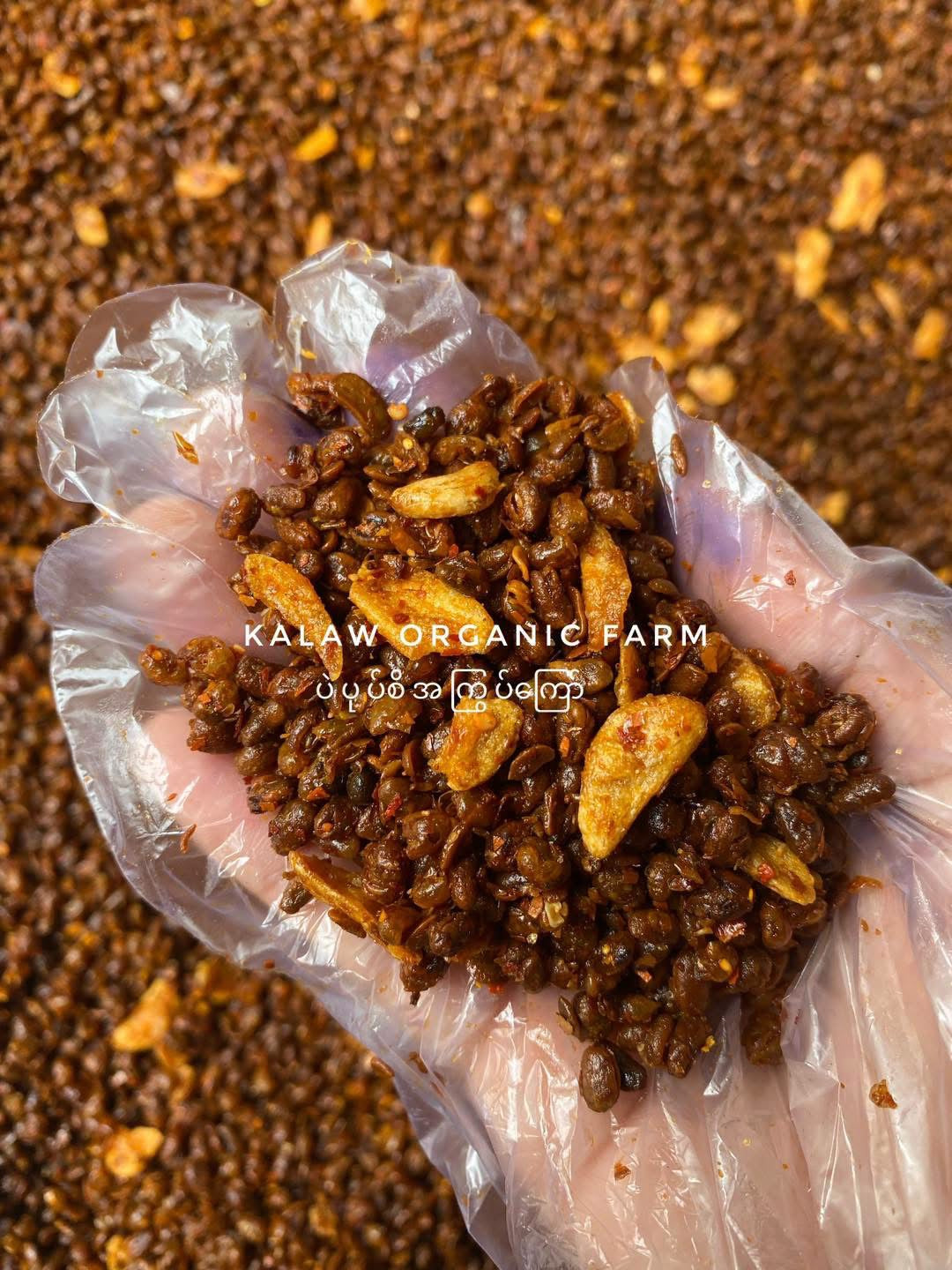 KOF သတ်သတ်လွတ် ပဲပုတ်စေ့ အကြွပ်ကြော် 250g