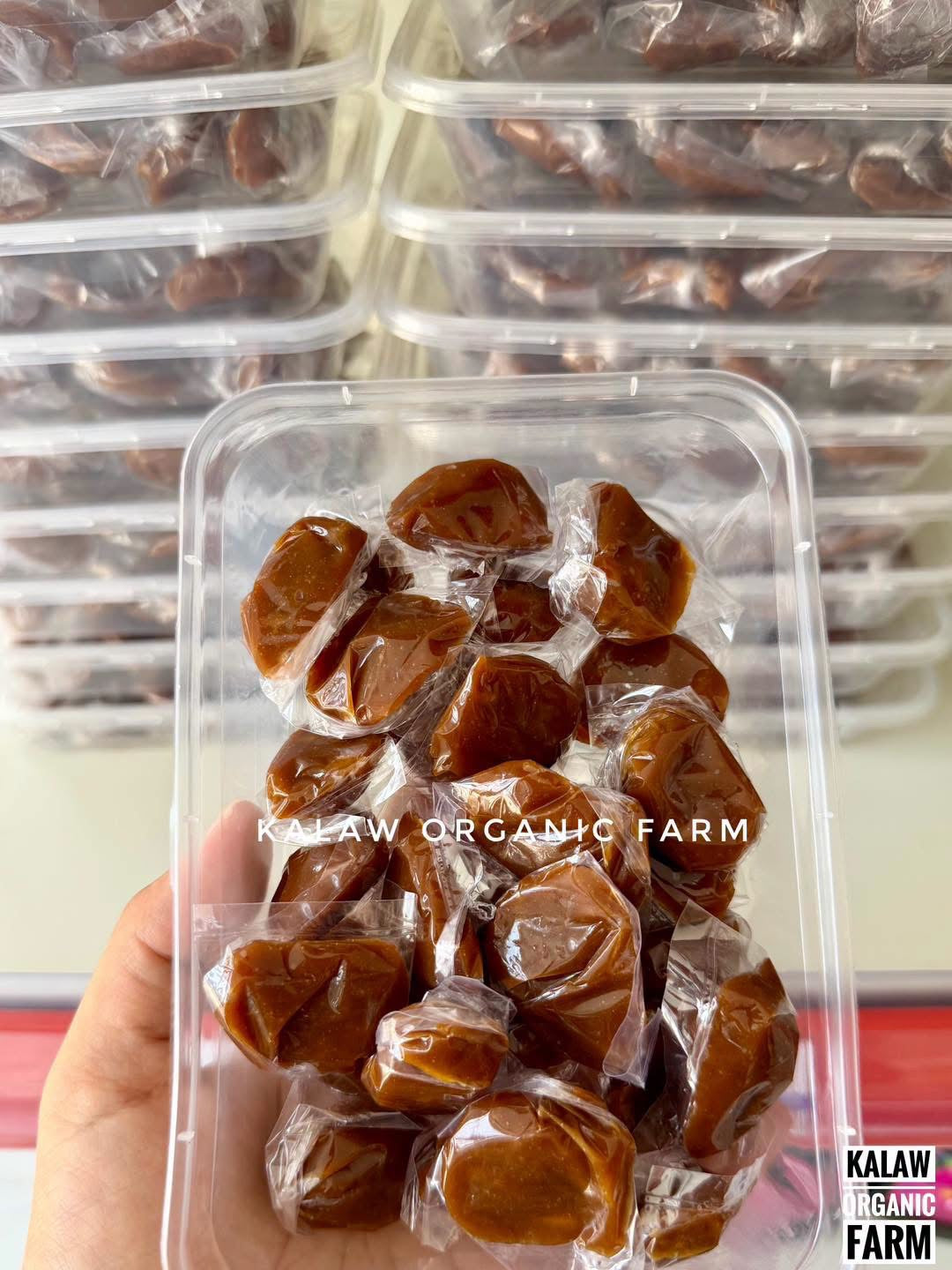KOF အုန်းထန်းလျက် (20Pcs)