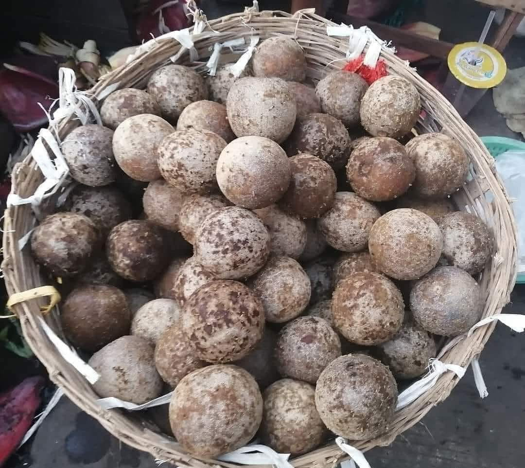 ATZ အေးသဇင် သီးသီးယို