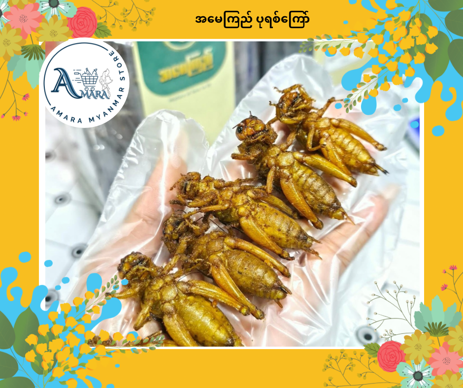 AMK အမေကြည် အမသီးသန့် ပုရစ်ကြော် (50 Pcs)