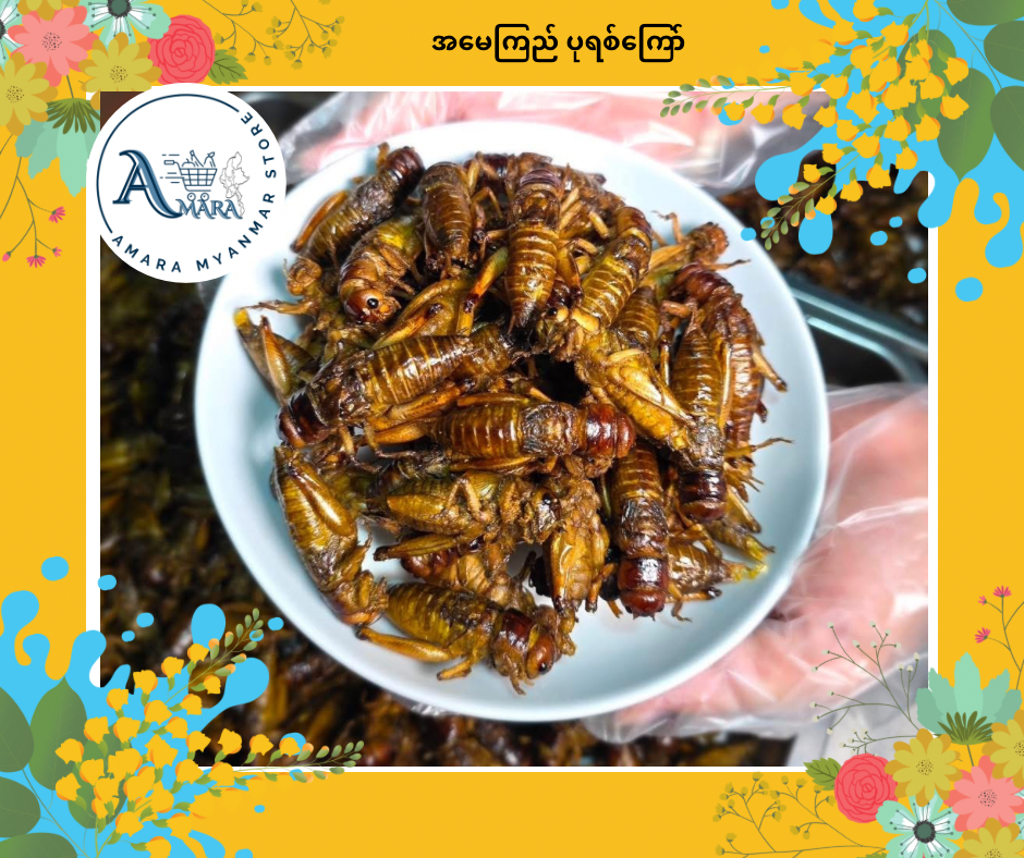 AMK အမေကြည် အမသီးသန့် ပုရစ်ကြော် (50 Pcs)